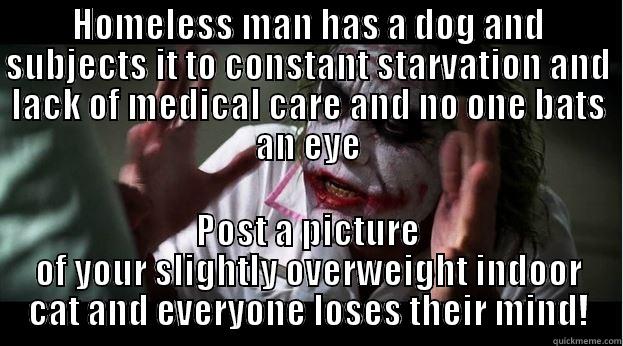 Starving a dog vs having a slightly overweight cat - HOMELESS MAN HAS A DOG AND SUBJECTS IT TO CONSTANT STARVATION AND LACK OF MEDICAL CARE AND NO ONE BATS AN EYE POST A PICTURE OF YOUR SLIGHTLY OVERWEIGHT INDOOR CAT AND EVERYONE LOSES THEIR MIND! Joker Mind Loss