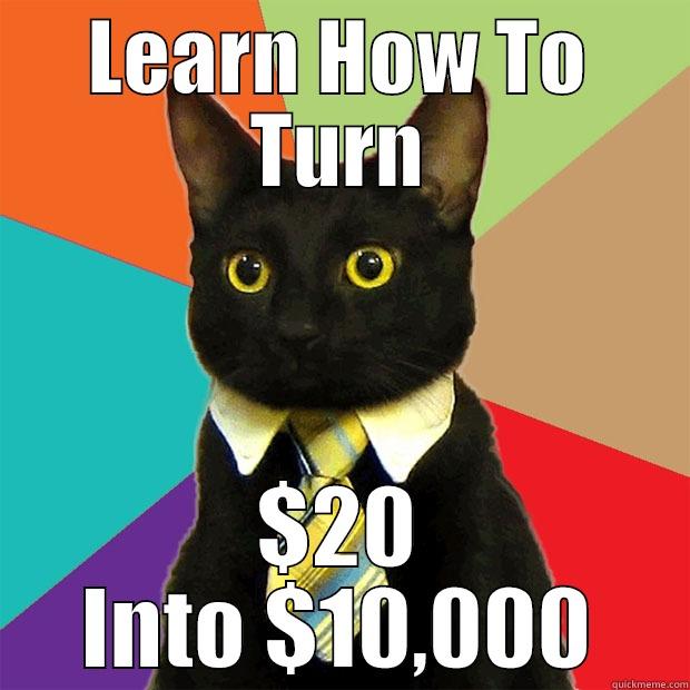 LEARN HOW TO TURN $20 INTO $10,000 Business Cat
