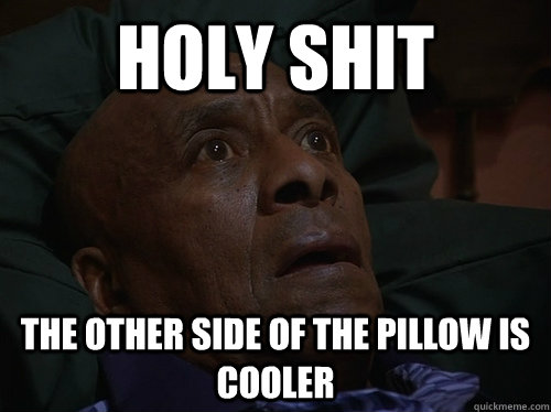 Holy Shit The other side of the pillow is cooler  Bedtime Realizations