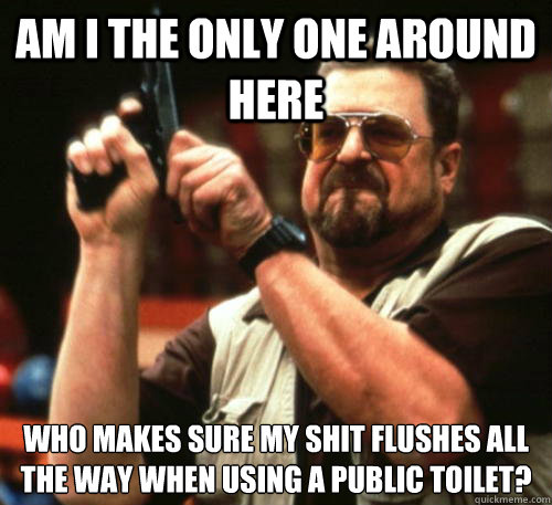 Am i the only one around here who makes sure my shit flushes all the way when using a public toilet?  Am I The Only One Around Here