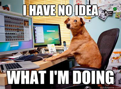 I have no idea What I'm doing  Computer dog