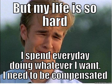 Wow Really? - BUT MY LIFE IS SO HARD I SPEND EVERYDAY DOING WHATEVER I WANT. I NEED TO BE COMPENSATED 1990s Problems