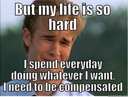 BUT MY LIFE IS SO HARD I SPEND EVERYDAY DOING WHATEVER I WANT. I NEED TO BE COMPENSATED 1990s Problems