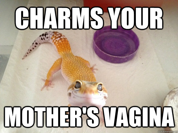 Charms YOur mother's vagina  Ridiculously Photogenic Gecko