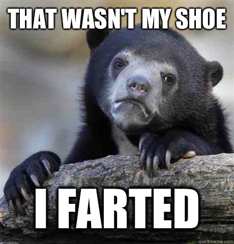 That wasn't my shoe I farted  Confession Bear