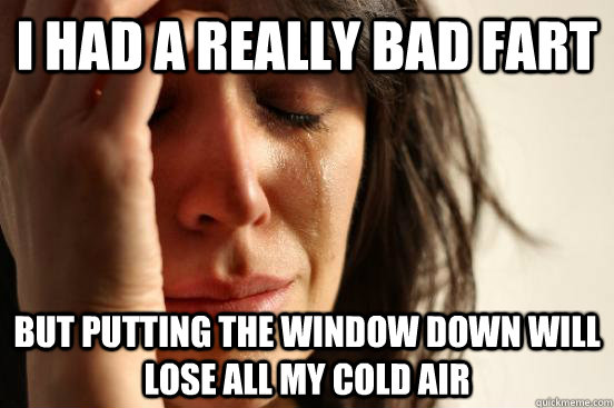 i had a really bad fart but putting the window down will lose all my cold air  First World Problems