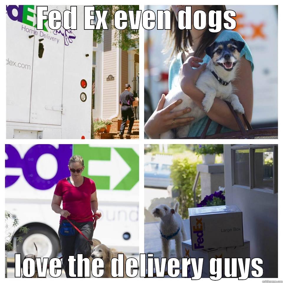 FED EX EVEN DOGS  LOVE THE DELIVERY GUYS Misc