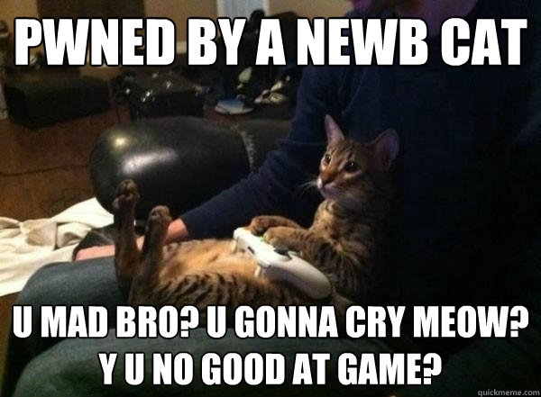 pwned by a newb cat u mad bro? U gonna cry meow? y u no good at game?  