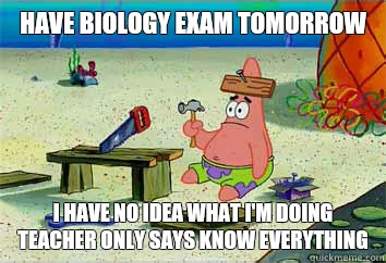 Have biology exam tomorrow  I have no idea what i'm doing teacher only says know everything   I have no idea what Im doing - Patrick Star