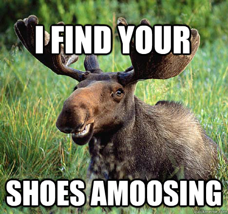 shoes amoosing i find your  - shoes amoosing i find your   Amoosing Moose