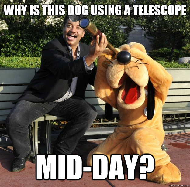 why is this dog using a telescope mid-day?  Tyson and Pluto