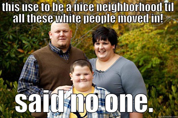 white family - THIS USE TO BE A NICE NEIGHBORHOOD TIL ALL THESE WHITE PEOPLE MOVED IN! SAID NO ONE.  Happy American Family