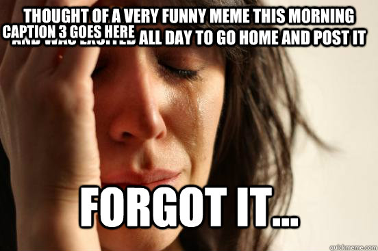 Thought of a very funny meme this morning and was excited all day to go home and post it Forgot it... Caption 3 goes here  First World Problems