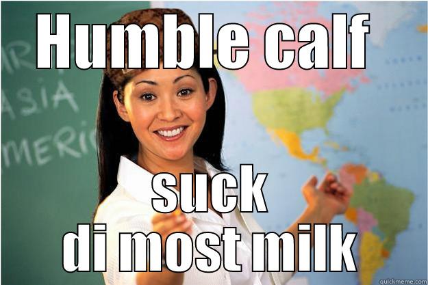 HUMBLE CALF  SUCK DI MOST MILK Scumbag Teacher