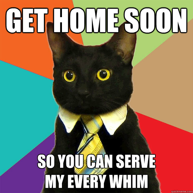 Get home soon so you can serve 
my every whim  Business Cat