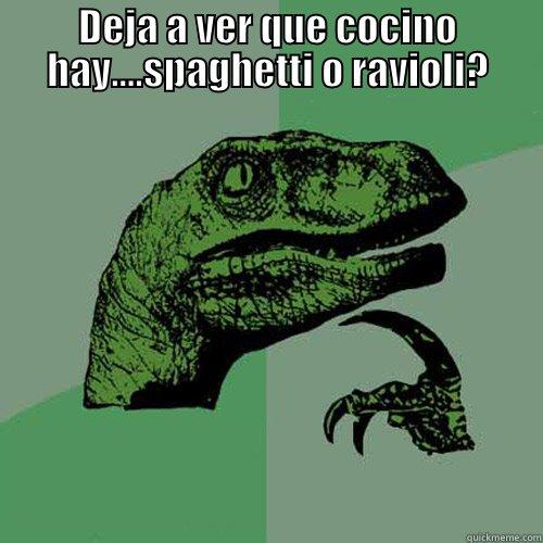DEJA A VER QUE COCINO HAY....SPAGHETTI O RAVIOLI?  Philosoraptor