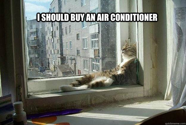 I should buy an air conditioner  Sophisticated Cat is feeling the heat