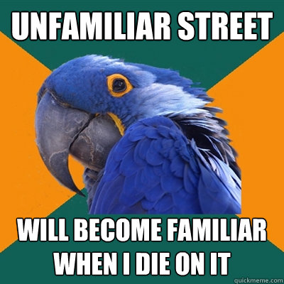 unfamiliar street will become familiar when i die on it  Paranoid Parrot