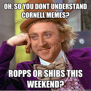 oh, so you dont understand cornell memes? ropps or shibs this weekend? - oh, so you dont understand cornell memes? ropps or shibs this weekend?  Condescending Wonka