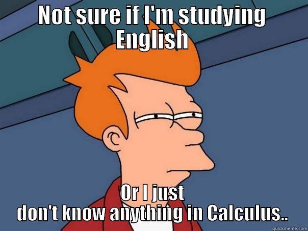 NOT SURE IF I'M STUDYING ENGLISH OR I JUST DON'T KNOW ANYTHING IN CALCULUS.. Futurama Fry
