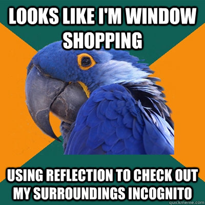 Looks like I'm window shopping using reflection to check out my surroundings incognito  Paranoid Parrot