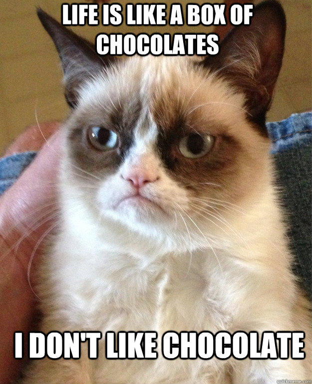 Life is like a box of chocolates i don't like chocolate  Grumpy Cat