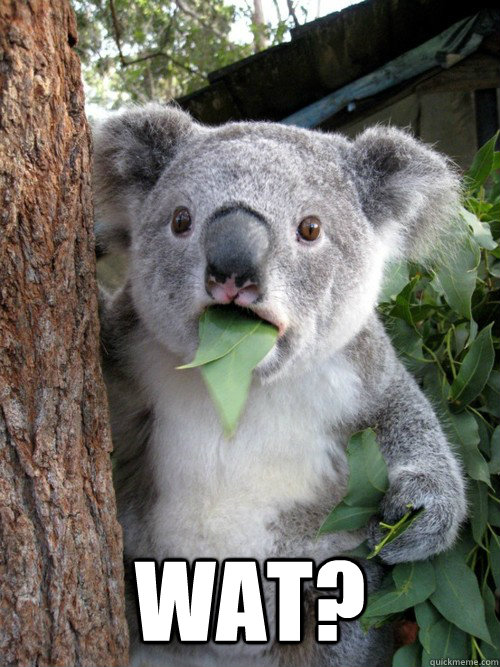  WAT? -  WAT?  Koala