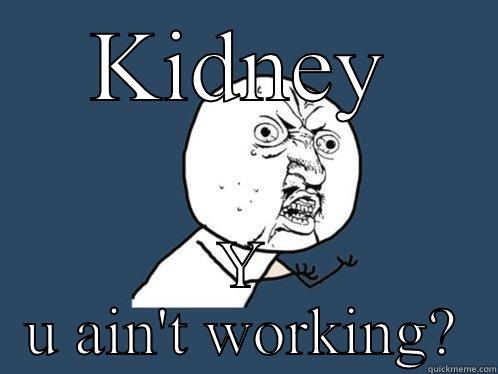 KIDNEY Y U AIN'T WORKING? Chemistry Cat