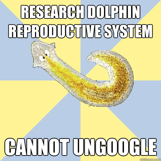research dolphin reproductive system cannot ungoogle - research dolphin reproductive system cannot ungoogle  Bio Major Planarian