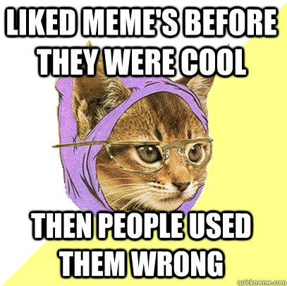 Liked Meme's before they were cool then people used them wrong  Hipster Kitty