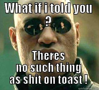 WHAT IF I TOLD YOU ? THERES NO SUCH THING AS SHIT ON TOAST ! Matrix Morpheus