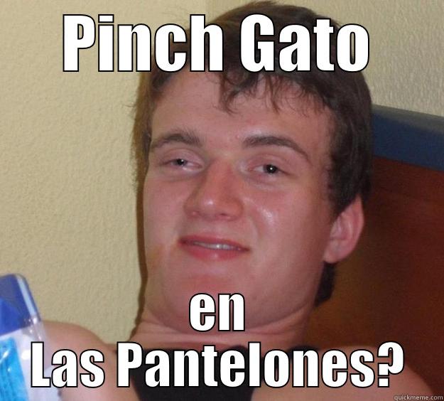 PINCH GATO EN LAS PANTELONES? 10 Guy