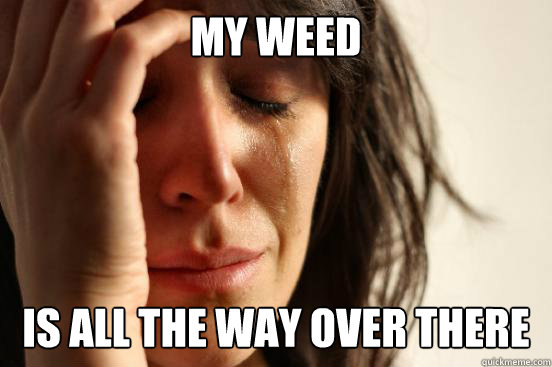 My Weed Is all the way over there  First World Problems