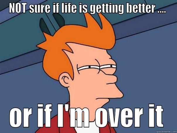 NOT SURE IF LIFE IS GETTING BETTER .... OR IF I'M OVER IT Futurama Fry
