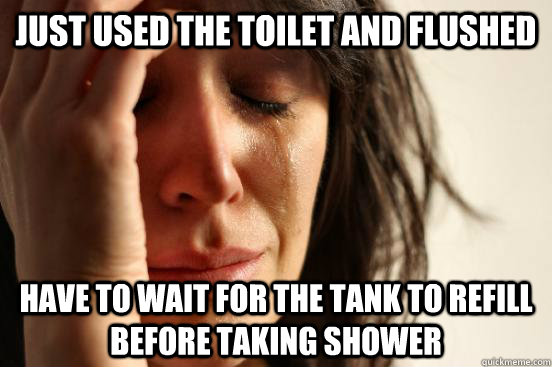 Just used the toilet and flushed Have to wait for the tank to refill before taking shower  First World Problems