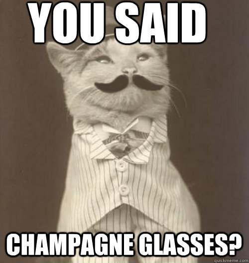 YOU SAID CHAMPAGNE GLASSES?  Original Business Cat