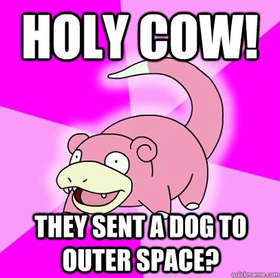 Holy cow! They sent a dog to outer space?  Slowpoke