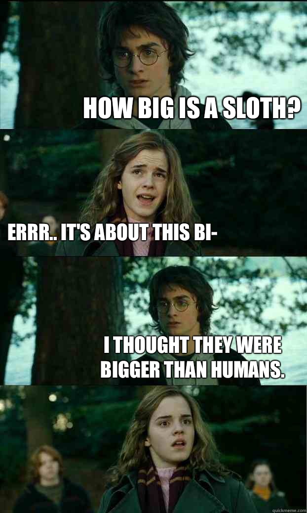 How big is a sloth? Errr.. It's about this bi- I thought they were bigger than humans.  Horny Harry