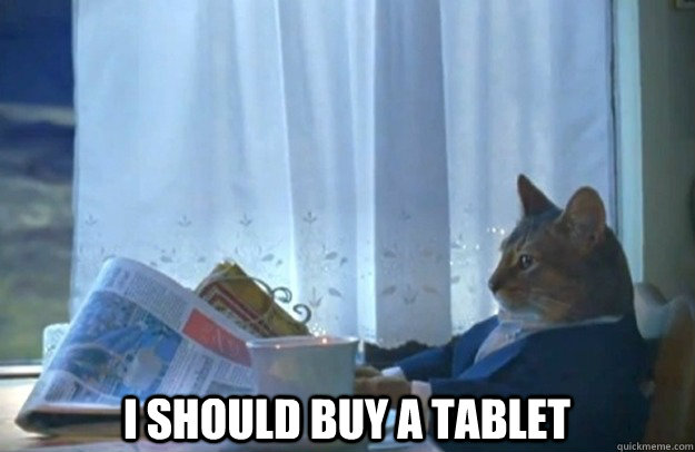  I should buy a tablet  Sophisticated Cat