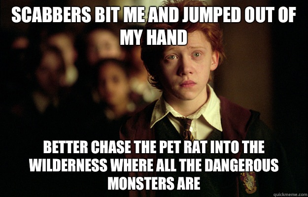 Scabbers bit me and jumped out of my hand Better chase the pet rat into the wilderness where all the dangerous monsters are   Ron Weasley