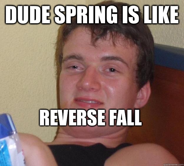 Dude spring is like Reverse fall
 - Dude spring is like Reverse fall
  10 Guy