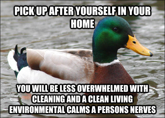 PICK UP AFTER YOURSELF IN YOUR HOME YOU WILL BE LESS OVERWHELMED WITH CLEANING AND A CLEAN LIVING ENVIRONMENTAL CALMS A PERSONS NERVES  Actual Advice Mallard
