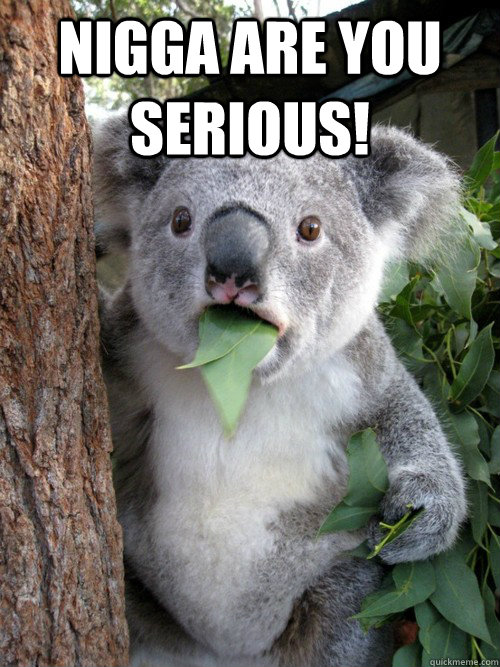 nigga are you serious!  koala bear