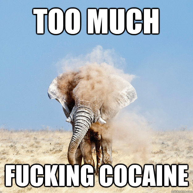 Too much fucking cocaine - Too much fucking cocaine  Misc