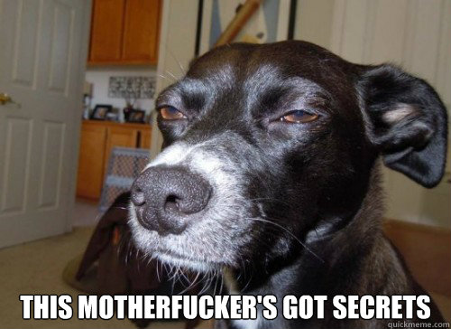  This motherfucker's got secrets -  This motherfucker's got secrets  Suspicious Dog