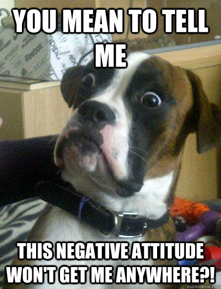 you mean to tell me this negative attitude won't get me ANYWHERE?! - you mean to tell me this negative attitude won't get me ANYWHERE?!  Shocked Dog