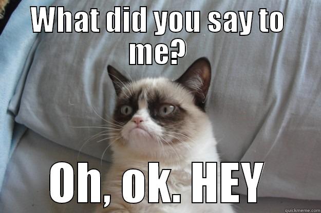 WHAT DID YOU SAY TO ME? OH, OK. HEY Grumpy Cat