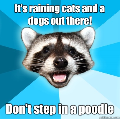 It's raining cats and a dogs out there!  Don't step in a poodle  Lame Pun Coon