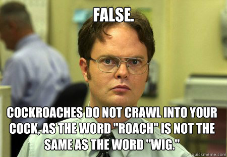 FALSE. Cockroaches do not crawl into your cock, as the word 