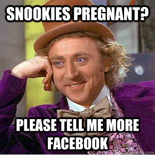 Snookies Pregnant? Please tell me more facebook  Creepy Wonka
